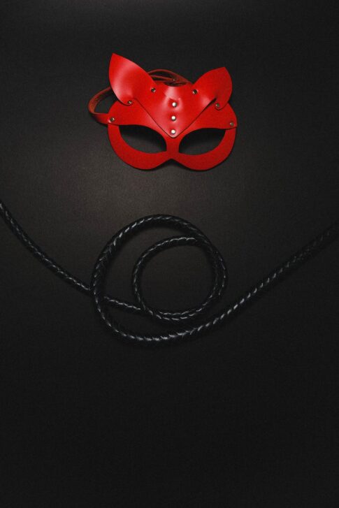 bdsm mask and whip