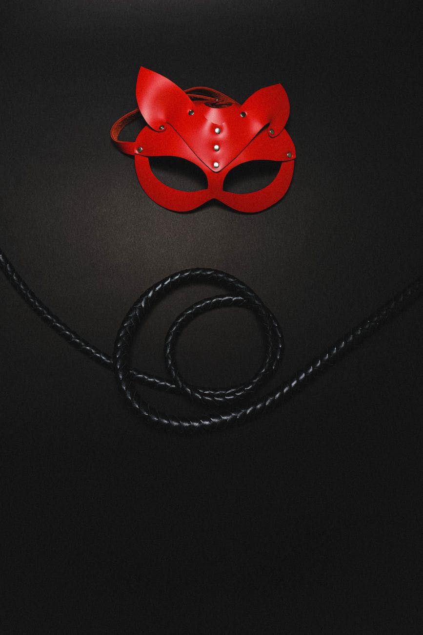 bdsm mask and whip